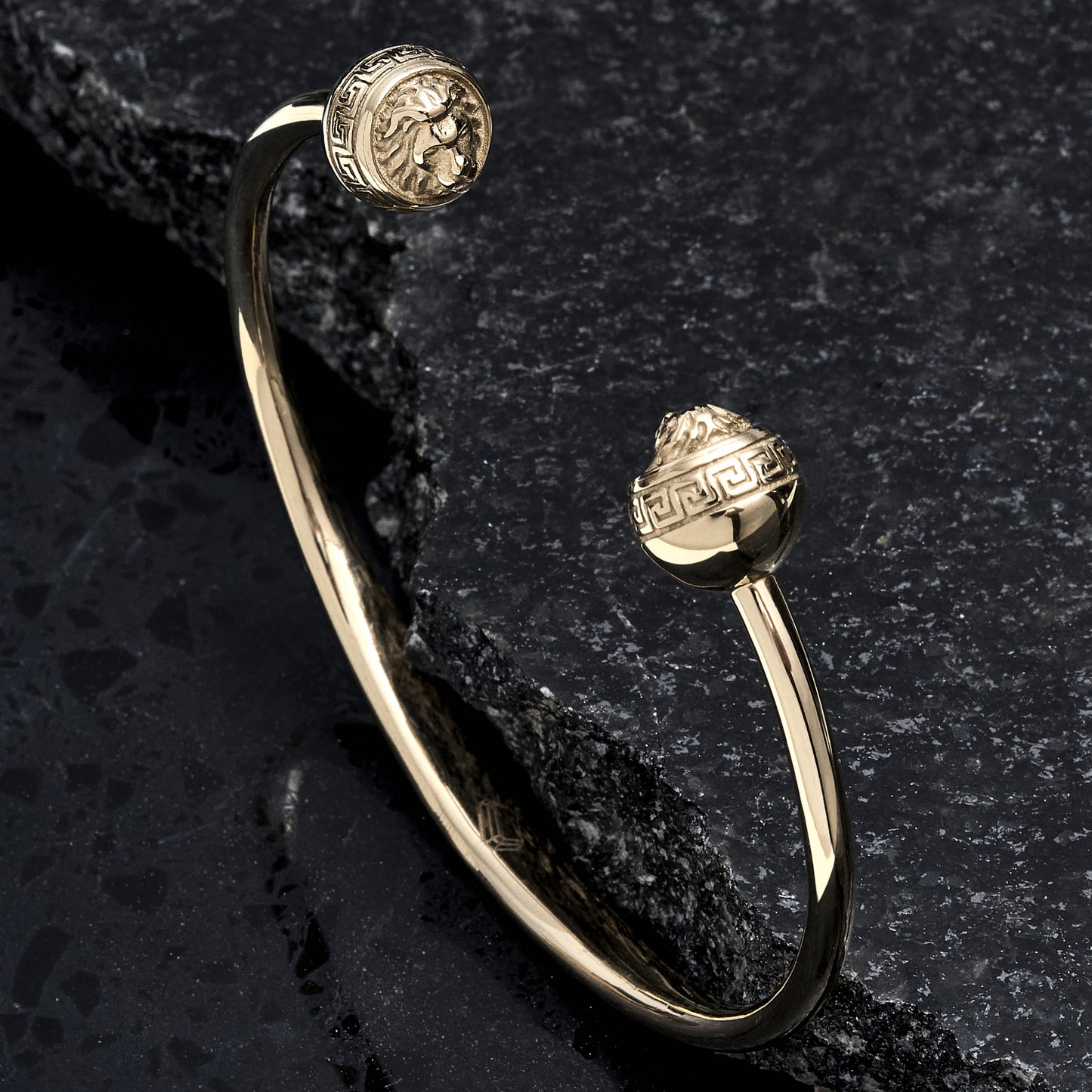 Brazalete Leon