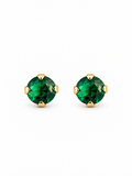 Arete Circón Pequeño Ortopédico