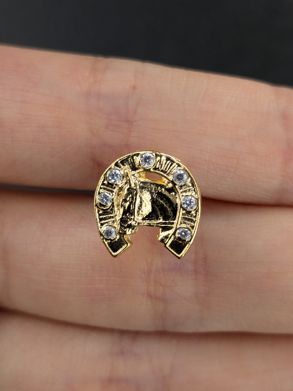 Arete Herradura Caballo Circón