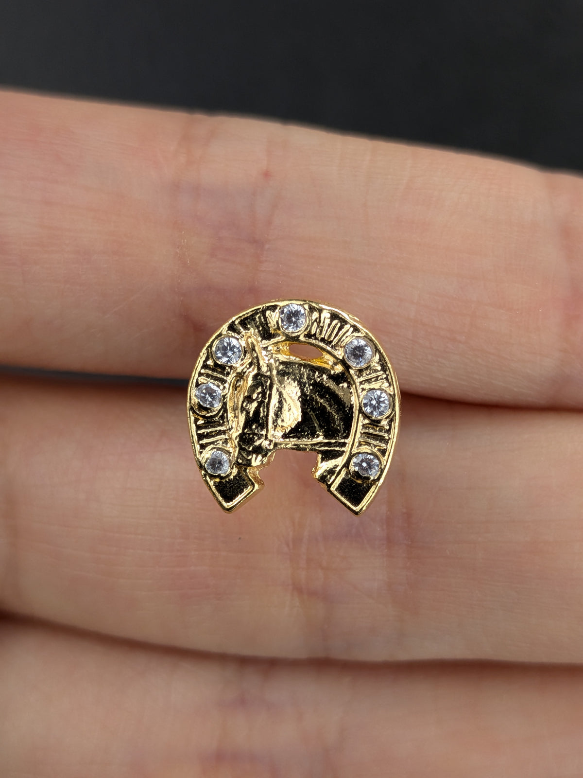 Arete Herradura Caballo Circón