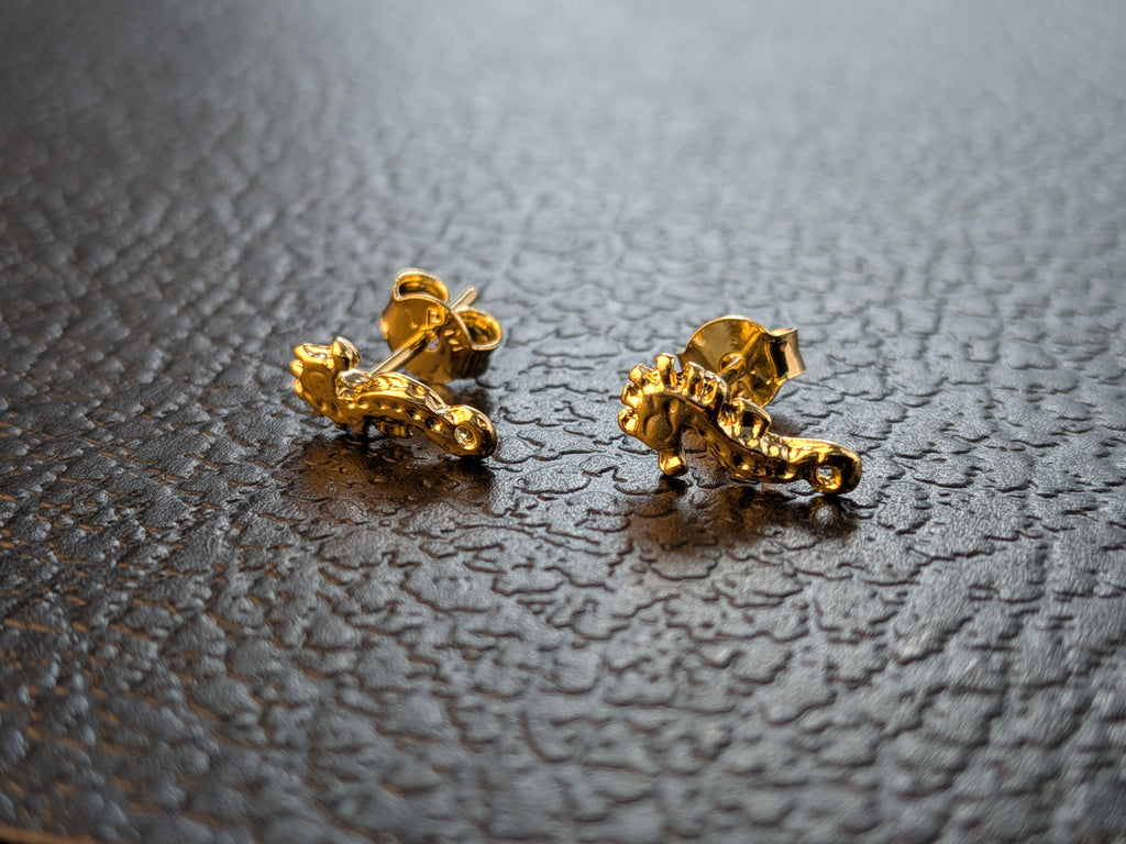 Arete Caballito De mar