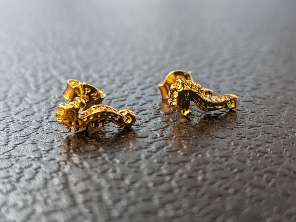 Arete Caballito De mar