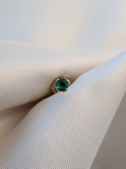 Arete Circón Pequeño Ortopédico