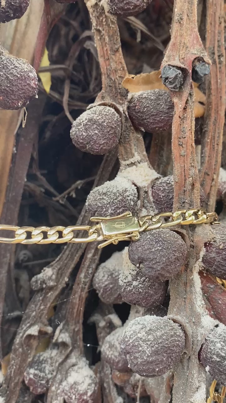 Cadena Cartere Hombre Oro Laminado