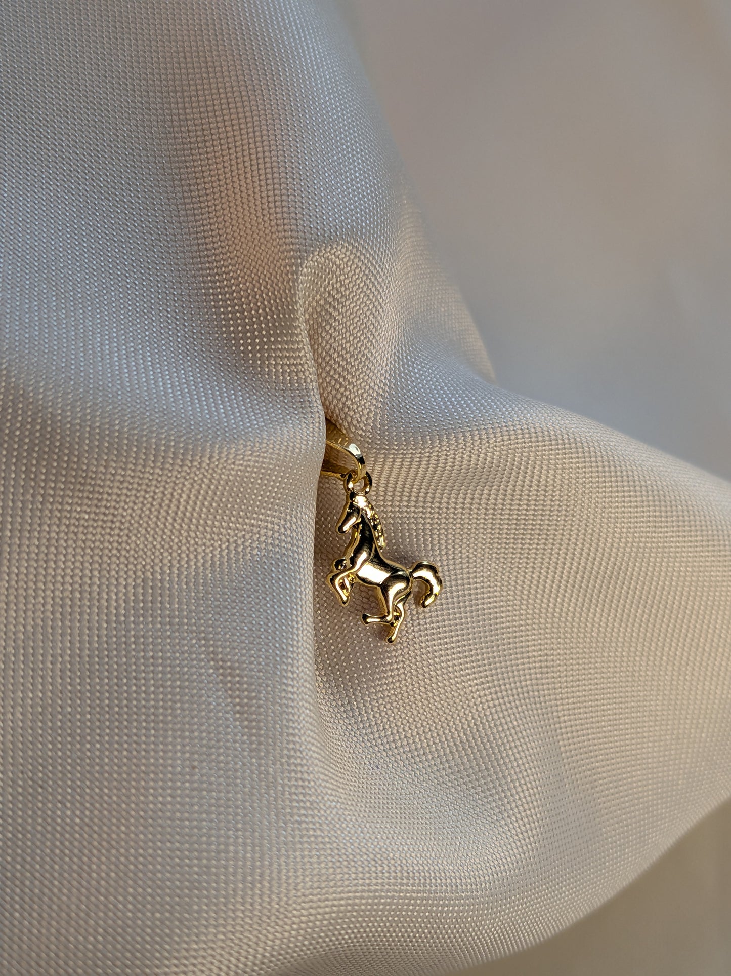 Dije Caballo Liso